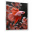 Monochromes rouges et gris - aquariums, reproduction d'art mural-508936174-508936175