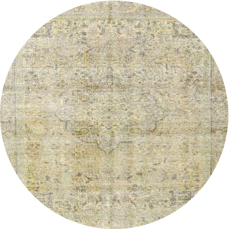 Aada Oriental Indoor Rug, Round 3'