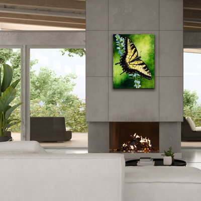 «Fragile Beauty» par Barbara Keith, art mural sur toile