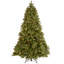 Sapin de Douglas avec lumières DEL bicolores-1743672479