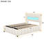 Chamarra Upholstered Velvet Lift Up Storage Ottoman Bed-537882134-537882137