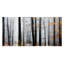 Daylight Enrapturé-reproduction d’image en plusieurs pièces sur toile-38250289