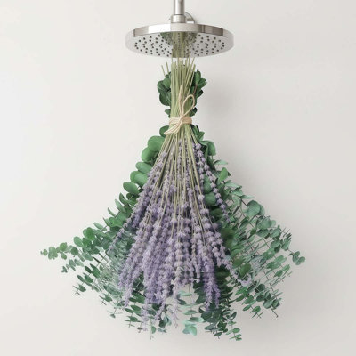 Preserved Eucalyptus Stems & Dried Lavender Bundles for Shower, 70 Pcs 17inch Natural Real Live Eucalyptu Leaves Greenery Hanging Lavender Flowers