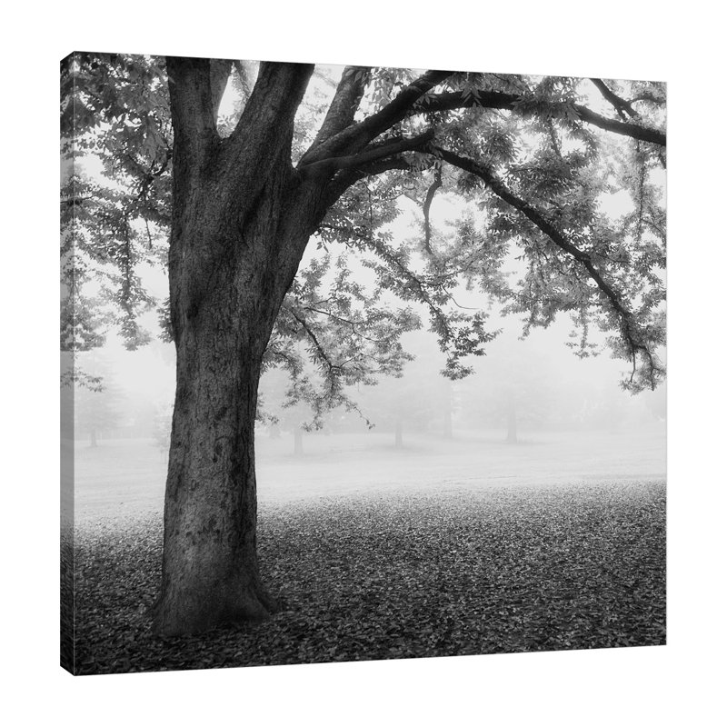 «Park 1», toile tendue par Dianne Poinski, H 18 po x l 18 po x P 1,5 po