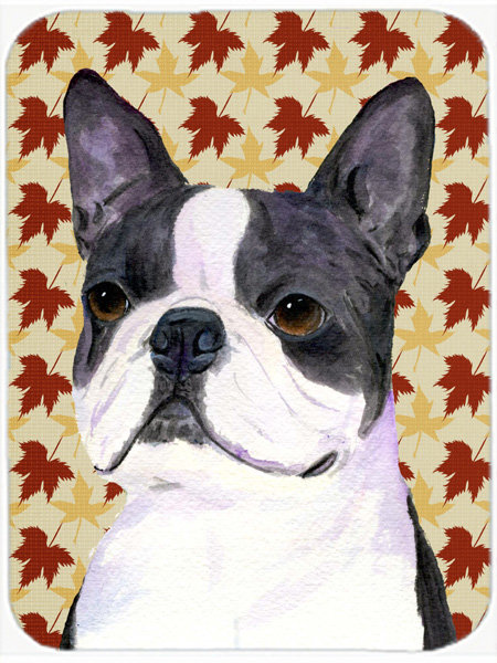 Planche à découper en verre terrier east urban home boston