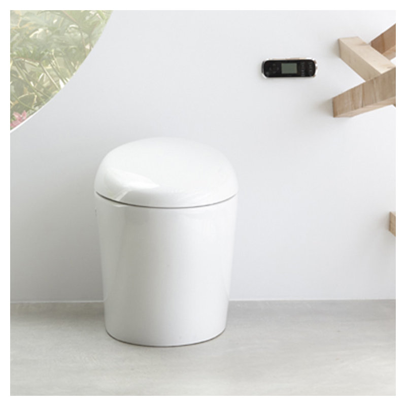Karing Skirted One-Piece Elongated Toilet with Bidet Functionality