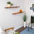Arzi Pine Solid Wood Live Edge Shelf