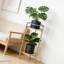 Support à plantes à 2 niveaux en métal pour l'intérieur et l'extérieur-589033089