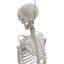 Zinia Halloween Decorative Accent