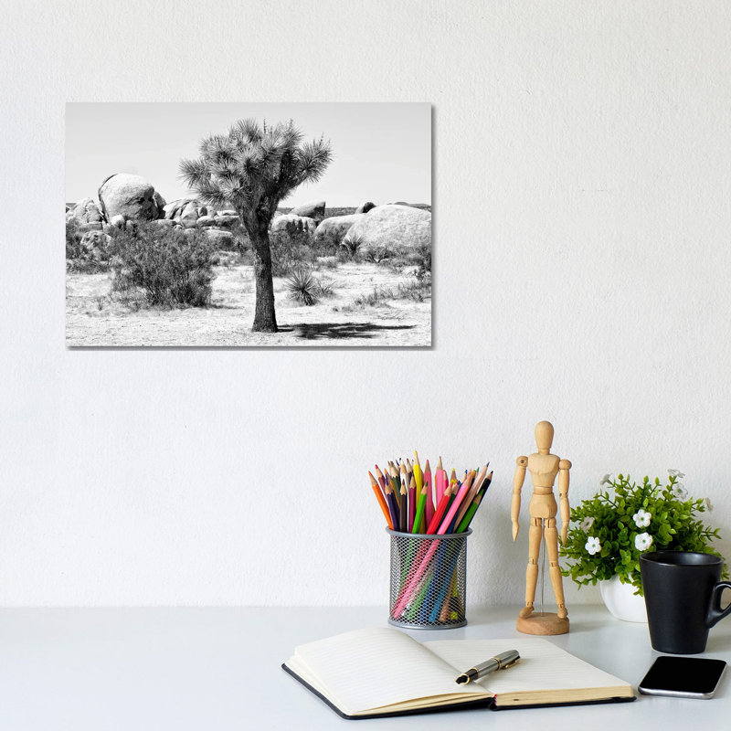 Joshua Tree III by Philippe Hugonnard - Wrapped Canvas Print, 20.32 cm H x 30.48 cm W