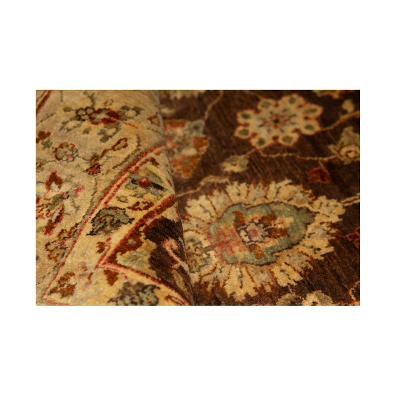 Wool Oriental Area Rug in Black/Gold/Red