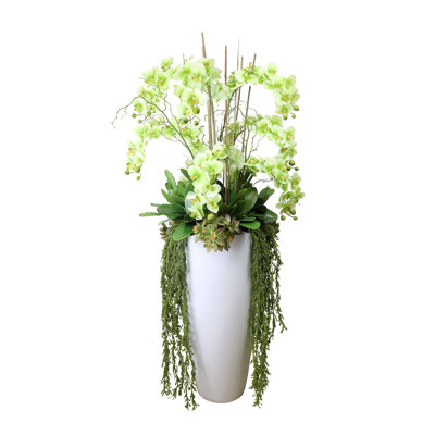 Orchid Arrangement with Cactus in Fiberstone Planter