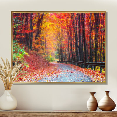 « Road In Beautiful Autumn Forest » - reproduction de photo