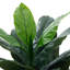 160cm Faux Plant in Nursery Pot