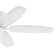 McGavock 52'' Ceiling Fan