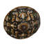 Empire Lamp Shade