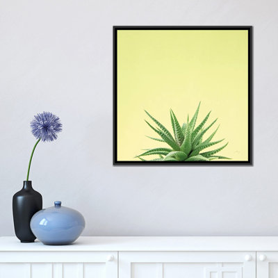 «Succulent Simplicity I», impression sur toile
