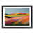 Black Framed selected