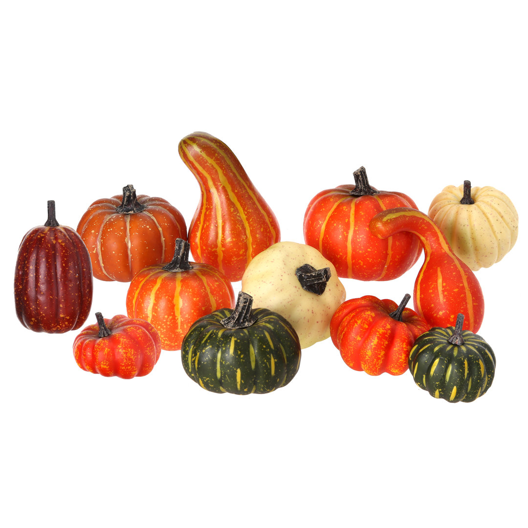 12 Piece Mixed Harvest Pumpkin and Gourd Set The Holiday Aisle®