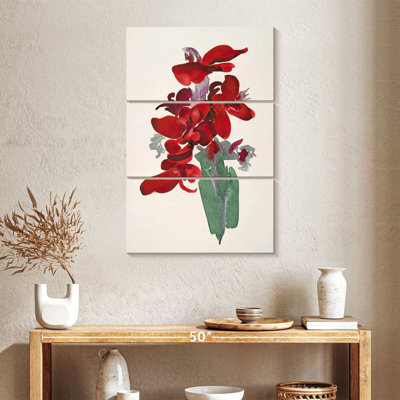 Red Canna 1915