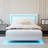 Full Size Bed Frame With Headboard, Floating Bed Frame With LED Lights