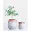 Terracotta Table Vase