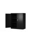 Armoire de rangement en métal avec 2 portes et 2 tablettes