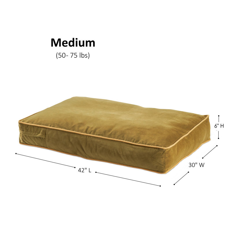 Lit pour chien Olivarez Classic, Moyen (L 42 po x l 30 po x H 6 po), Moss