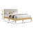 Casondra Upholstered Platform Bed-1045753323