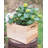 Dessie Wood Planter Box