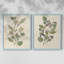 Pressed Arrangement III - Reproduction encadrée de qualité supérieure - prêt à être accroché - aucun clou requis - aucun clou requis-910221031-910221036