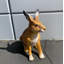 Statue de lapin Hare