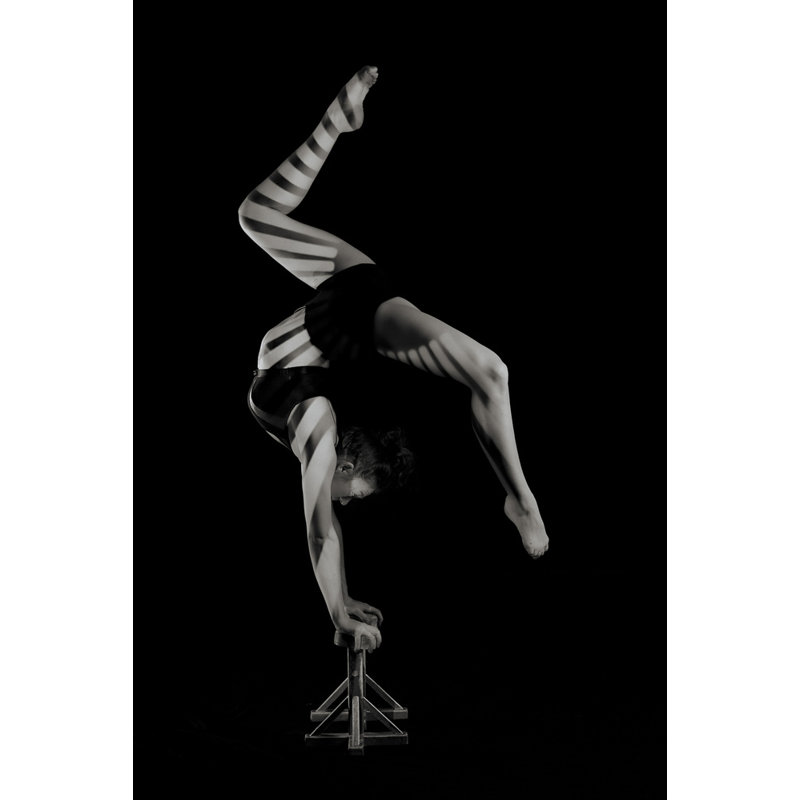 Wrapped Canvas Print, 76.2 cm H x 50.8 cm W
