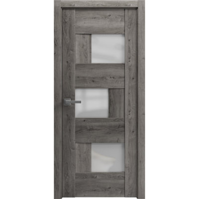 Porte de garage prémontée à la française, verre dépoli, Sete 6933, gris Nebraska, panneau simple, cadre, poignées, pour salle de bain ou chambre, portes robustes - 76 cm x 203 cm