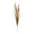 Foxtail Grass Bush