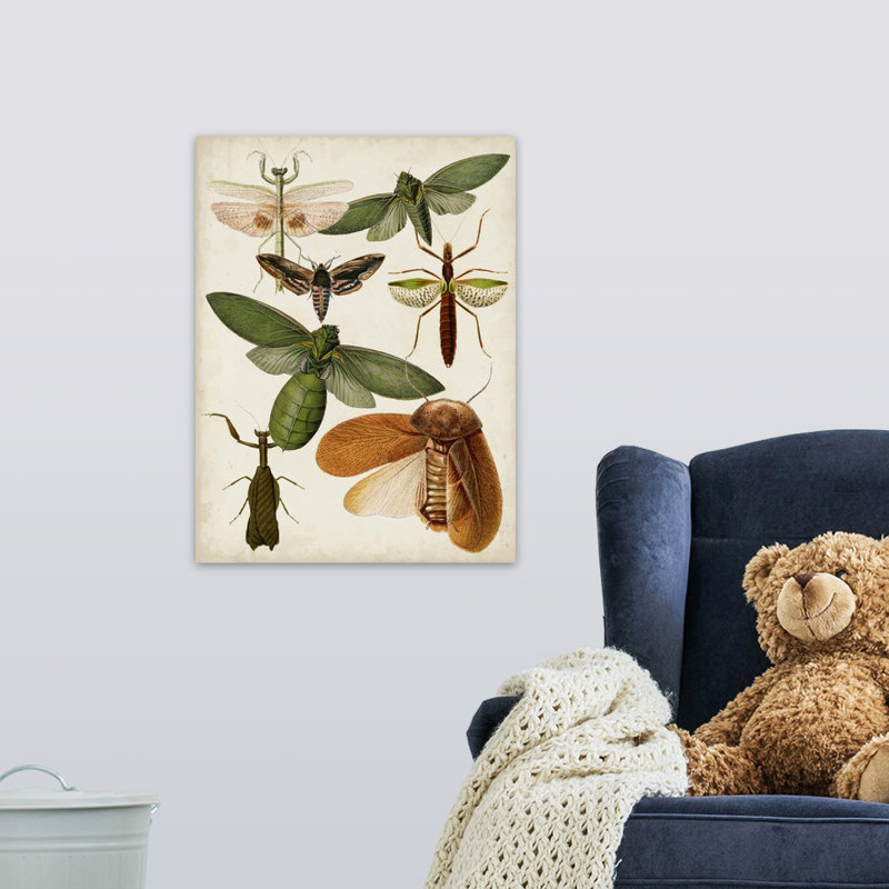 « flying bugs kids », art encadré, H 24 po x l 18 po x P 1,2 po, Toile tendue avec châssis