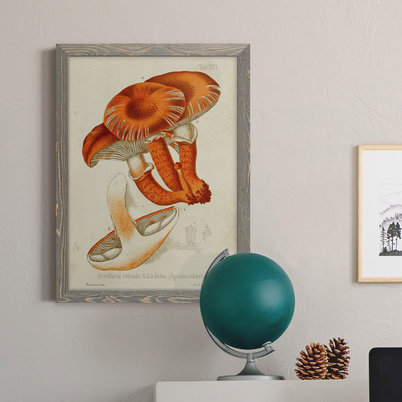 Mushroom Variétés VII - reproduction d'art sur toile, Encadré gris