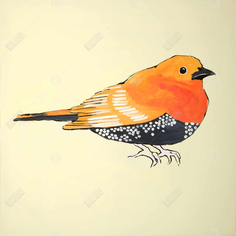 "Illustration d'un petit oiseau orange"