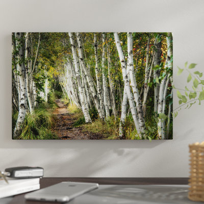«A Walk Through the Birch Trees» par Danny Head - impression d'art graphique