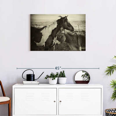Kissing Horses I
