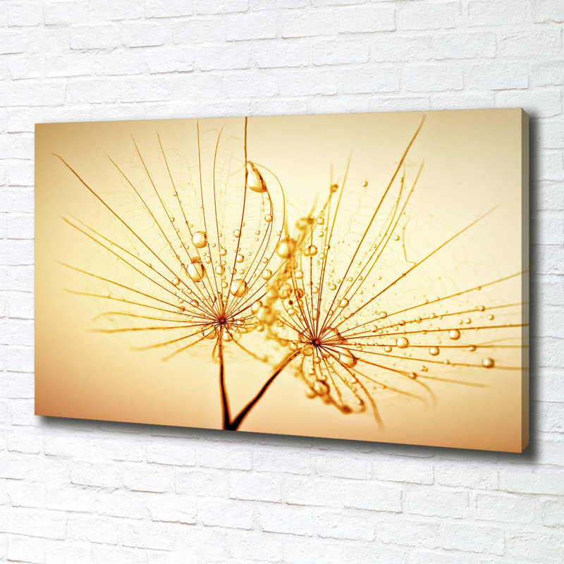 Dandelion Seeds - Wrapped Canvas Print