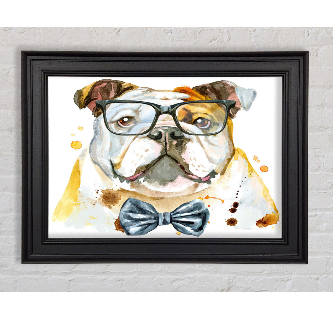 Die Bulldogge mit Brille Gerahmter Druck