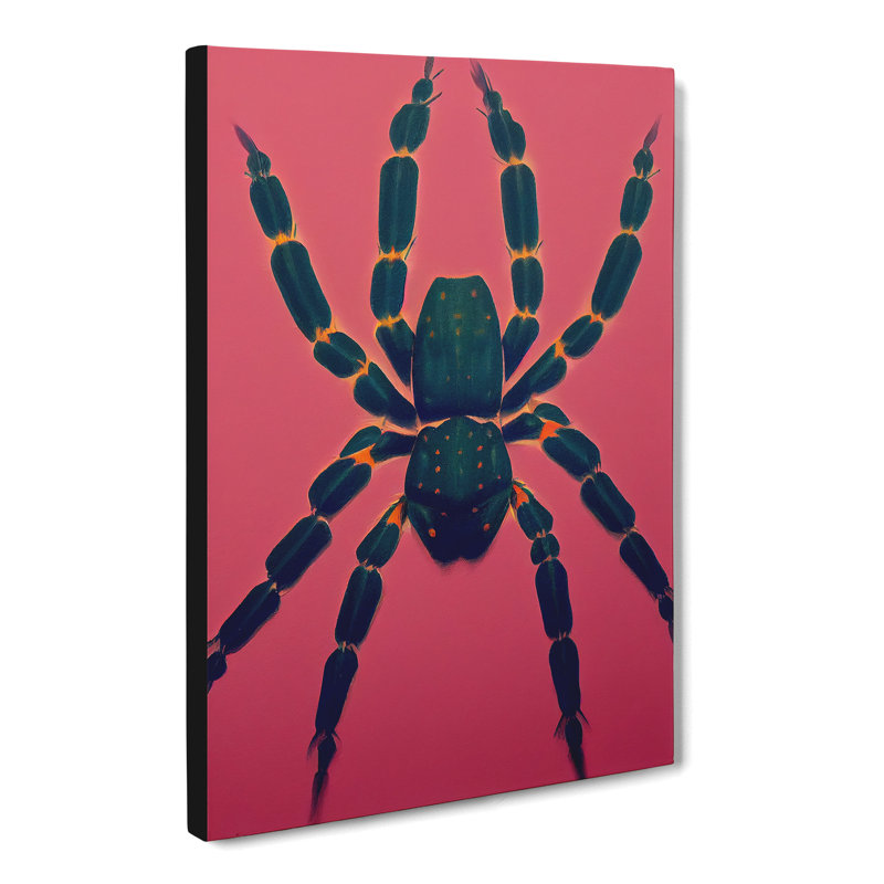 Spider - Wrapped Canvas, 50cm H x 35cm W x 3cm D