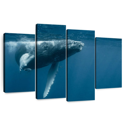 Humpback Whale Calf