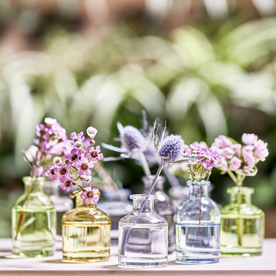 Petits petits vases à fleurs - vases à bourgeons en verre transparent, ensemble de 10 couleurs - centres de table rustiques mignons pour mariage, événements et maison - qualité supérieure, conçus pour durer