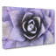 Lilac Succulent Plant - Wrapped Canvas-56629045