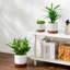 ZTHPOT Ceramic Pot Planter-865196237