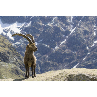 Capricorn by Ueuaphoto - Wrapped Canvas Print