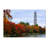 'Tidal Basin Autumn 2 Photographic Print on Wrapped Canvas-12628212