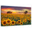 Crépuscule champ de tournesol Alvord-107502408